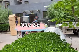 原来冰箱这样打包装走的，糖果见啥对啥好奇，真是见识短！视频封面
