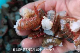 怎样保存小龙虾尾更好？阿金选择加水冰冻，冰箱都装满了