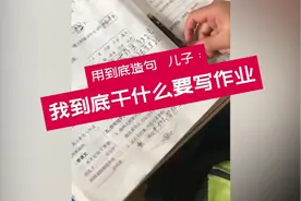 儿子用“到底”造句：“我到底干什么写作”。妈妈瞬间无语！视频封面