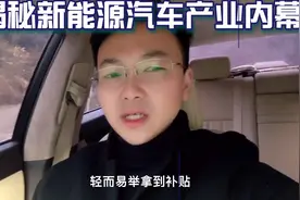 我看到最赚钱的行业就是新能源汽车，国家补贴就赚钱。视频封面