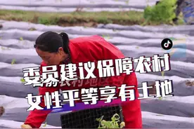 女性往往因出嫁或离婚无法享有平等土地权益保障，全国政协委员建议保障农村女性平等享有土地#直通2021全国两会视频封面
