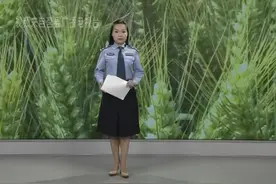 我县破获系列入室盗窃小麦案视频封面