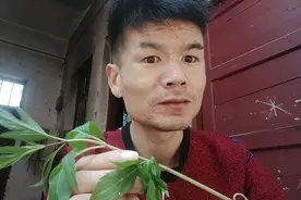闪着腰或脚，岔着气，疼痛难受？不妨用它，效果奇佳！视频封面