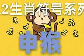 提升一个层次，认清一个生肖，12之申猴：精力旺盛 骄傲自大视频封面