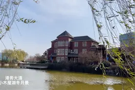 大自然的乐章，风声鸟声过车声，小木屋湖冬月景，风寒柳瘦水结冰视频封面