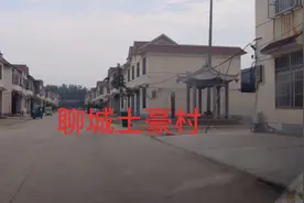 实拍山东莘县最有钱村庄之一 真实场景 富不富你说了算视频封面