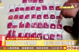 邵阳警方三年专案侦查，破获特大跨省贩毒案，缴获毒品2.5万余克视频封面