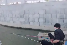 郑州贾鲁河的鱼最好不要吃，小伙子钓的鱼都喂鸡了，产蛋量很高！视频封面