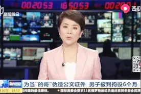 上海开出租必须无犯罪记录！为当“的哥”男子竟伪造公文证件视频封面