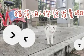【女生洗一次头会掉多少头发？】
今天给大家解答一下