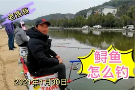 今天和大家分享一下鲟鱼应该怎么钓，才会收获更多。视频封面