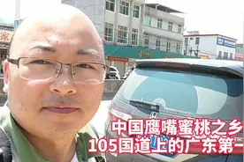 走进中国鹰嘴蜜桃之乡，105道国道上的广东第一镇上坪镇街日视频封面