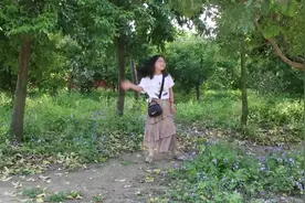 叫兽易小星白客的一首《万万没想到》，回味无穷，句句真情视频封面