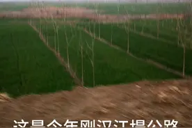 湖北江汉平原