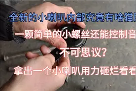 全新的喇叭一颗螺丝控制音量不可思议？内部有啥猫腻？砸烂试一下视频封面
