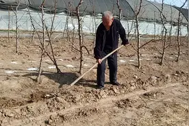 春季施肥要趁早视频封面