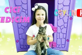 亲子互动：小萝莉训练宠物猫 吃饭 喝水 抓球 老厉害视频封面