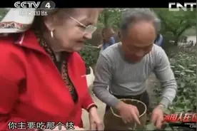 外国大姐到茶园体验采茶，跟中国大叔用中文交流，一点也不费劲视频封面