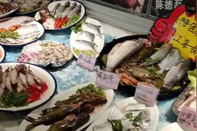 本帮菜，川菜，只要你想吃的，我们都有。视频封面