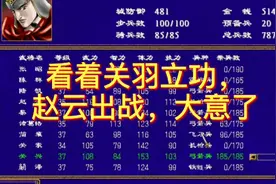 三国群英传，关羽连下数城，赵云看不下去了视频封面