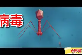 病毒是蛋白质和DNA或RNA组成视频封面