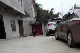 哥哥还没弟弟厉害😂视频封面