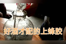 1200一斤的蜂胶小丽家拿来泡酒，蜂胶能调节血糖、血脂、血压视频封面