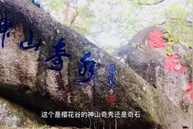 在原始森林里的可饮用的温泉里游泳，太爽了！视频封面