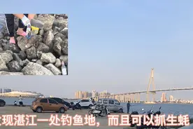 发现湛江一个免费钓鱼好地方，很多人专门开车过来，还有小生蚝！视频封面