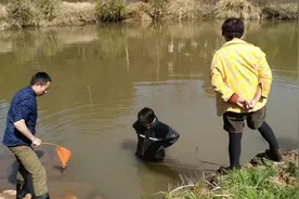 表嫂手机掉鱼塘里了，一家子来来回回3次去捞，结果会怎么样视频封面