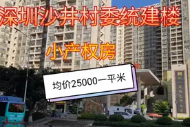 深圳沙井村委统建楼小产权房，均价25000一平米，大家觉得值不值视频封面