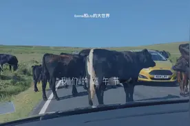 【端午特辑】和我们一起去，欧洲最美海滩，过端午，端午节快乐视频封面