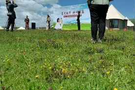 夏河县  阿木去乎镇  安果村    阿米贡洪酒店。视频封面