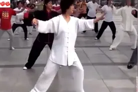 太极大师闫芳，罕见的打了一套正经太极拳，人群没打飞看不习惯吧视频封面