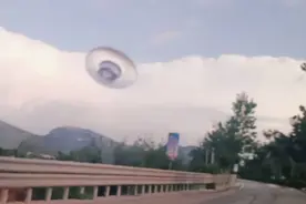 神马都是浮云视频封面
