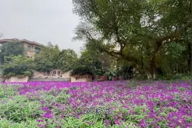 两百多万买成都260平山水别墅！飞行员空姐聚集地，高人气小区视频封面