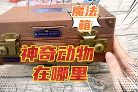 神奇动物在哪里周边 纽特的手提箱里竟然真的有神奇动物视频封面