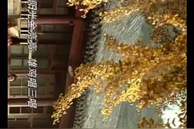 小女孩爱上了小男孩，突然小男孩被带走，小女孩等了20年视频封面