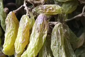 揭秘新疆葡萄干  还有它的出货价 价格低的无法想象视频封面