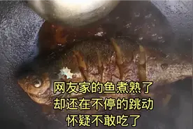 网友家的鱼煮熟了，却还在不停的跳动，怀疑不敢吃了视频封面