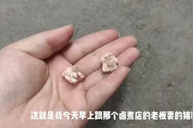 小武一大早去跟卤肉店老板要的猪精，回来给二胖磨平戴手脖上。