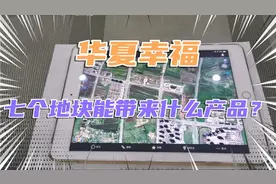 深哈产业园的华夏幸福算大开发商吗？买房子有保障吗？<下>视频封面
