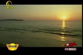 一段视频真实还原2004年的印尼大海啸 场面让人心惊视频封面