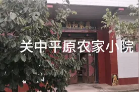 陕西关中地区农家小房子视频封面