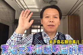 赏石艺术这个非遗项目，是奇石爱好者的共同财富，应该好好爱护视频封面