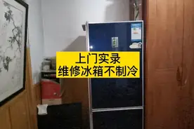 冰箱有工作的声音但是不制冷，怎么回事？今天上门维修。视频封面