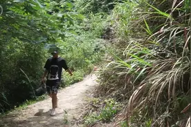 小卡vlog：天然山泉水放大1000倍看，虽然他很甜，但是不要乱喝视频封面