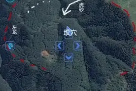 青龙和白虎视频封面