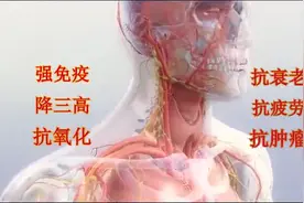 小分子胶原蛋白肽的神器作用视频封面