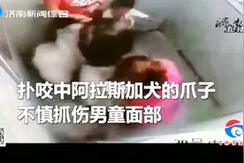 三岁男童电梯内被狗抓伤，狗主人不愿承担责任，监控记录全过程视频封面